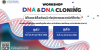โครงการอบรมเชิงปฎิบัติการ เรื่อง “ดีเอ็นเอและดีเอ็นเอโคลนนิ่ง พันธุวิศวกรรมและเทคนิคที่เกี่ยวข้อง” รุ่นที่ 7 และ รุ่นที่ 8