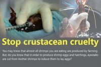 Stop crustacean cruelty