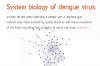 System biology of dengue virus