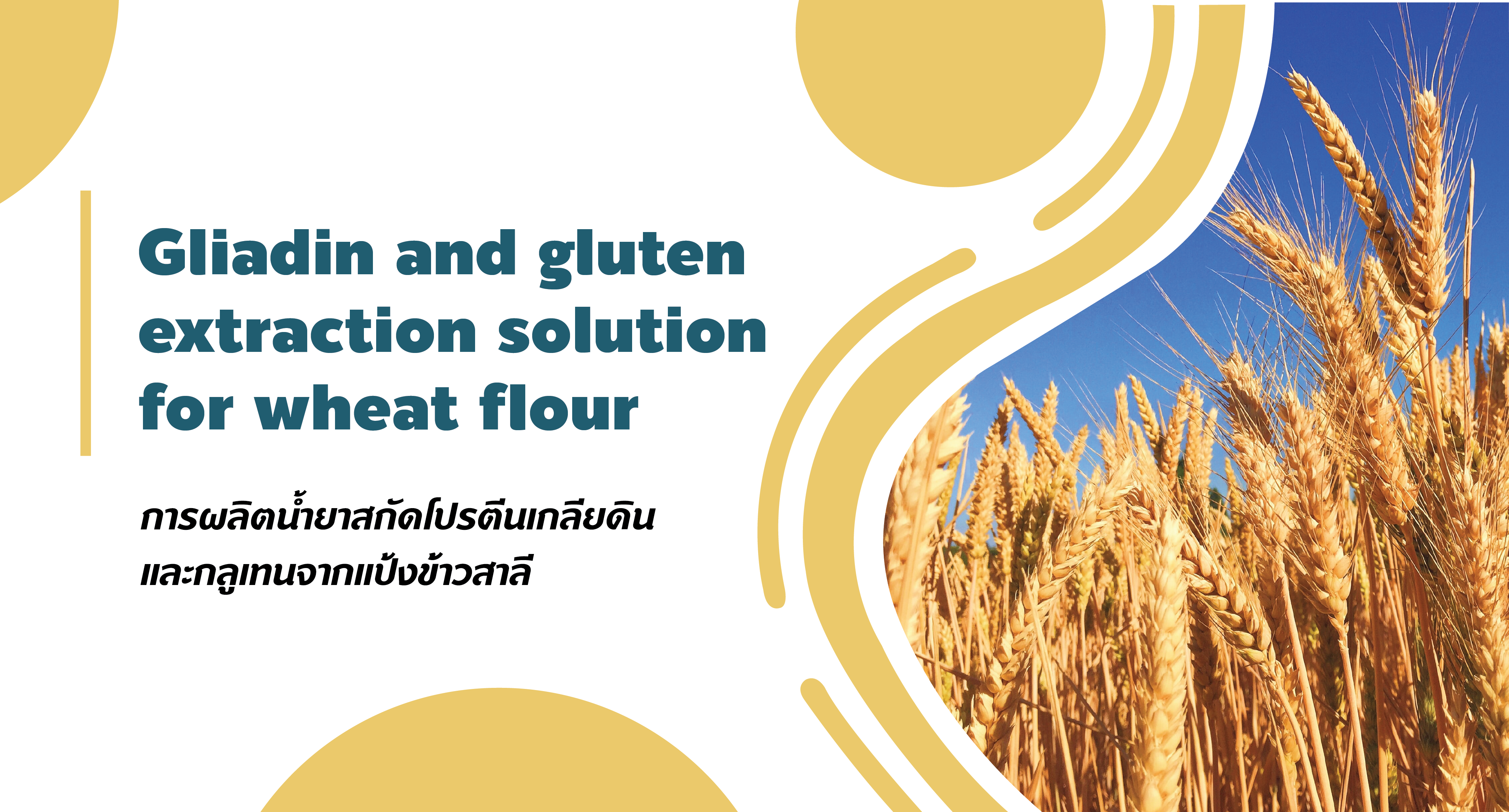 wheat flour