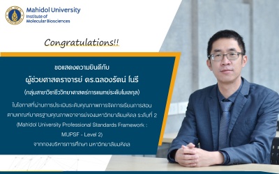 Mahidol University Professional Standards Framework : MUPSF – Level 2