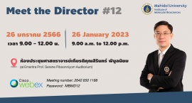 Meet the Director #12