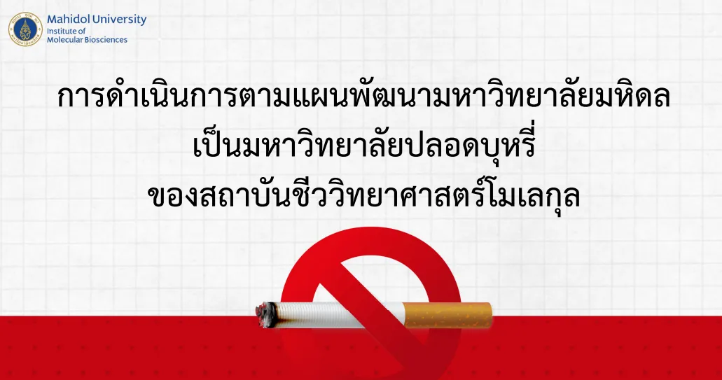 Non Smoking Area